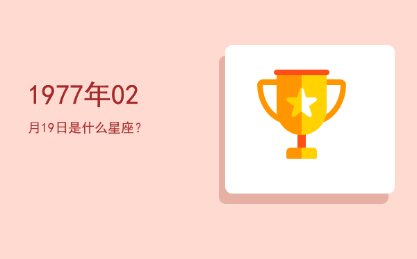 1977年02月19日是什么星座？