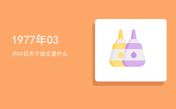 1977年03月04日天干地支是什么