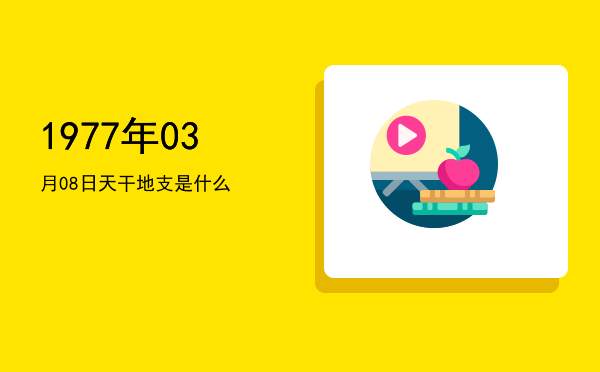 1977年03月08日天干地支是什么