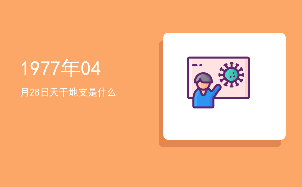 1977年04月28日天干地支是什么