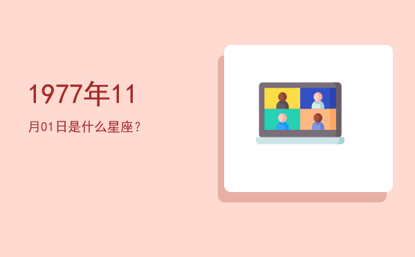 1977年11月01日是什么星座？