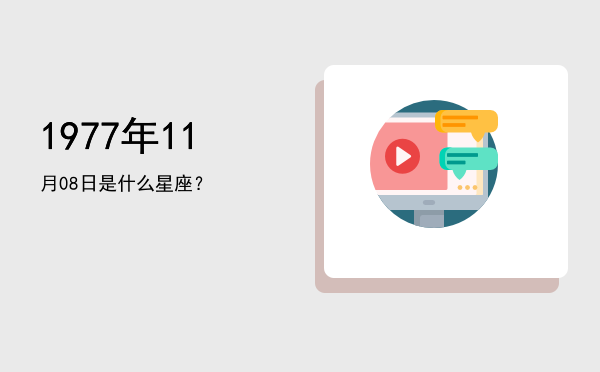 1977年11月08日是什么星座？