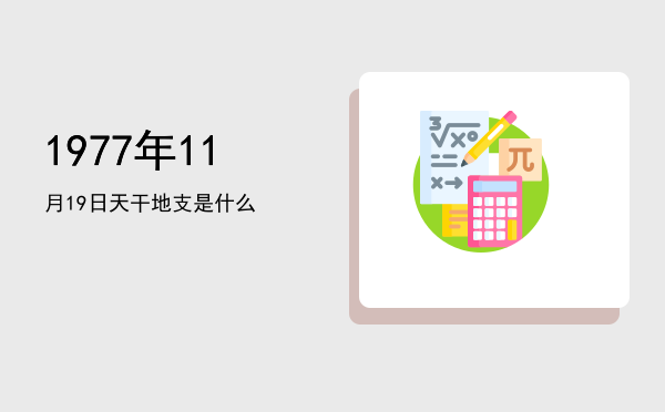 1977年11月19日天干地支是什么