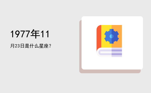 1977年11月23日是什么星座？