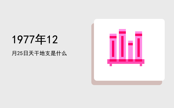1977年12月25日天干地支是什么