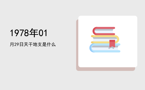 1978年01月29日天干地支是什么
