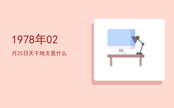 1978年02月25日天干地支是什么