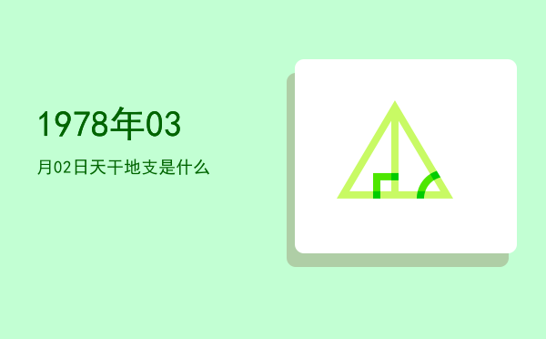 1978年03月02日天干地支是什么