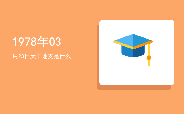 1978年03月23日天干地支是什么