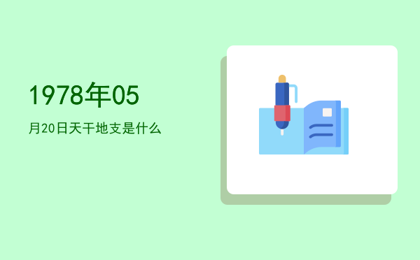 1978年05月20日天干地支是什么