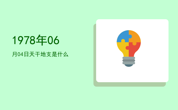 1978年06月04日天干地支是什么