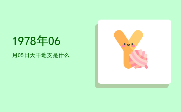 1978年06月05日天干地支是什么
