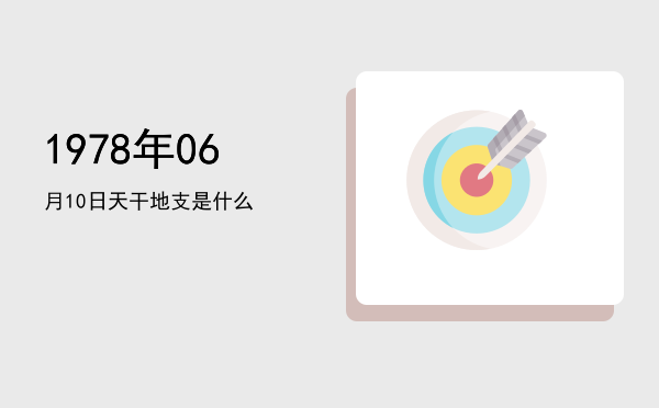 1978年06月10日天干地支是什么