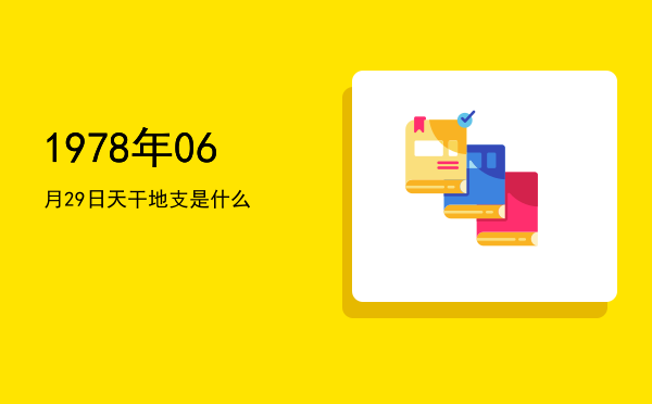 1978年06月29日天干地支是什么