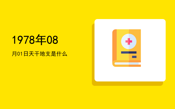 1978年08月01日天干地支是什么