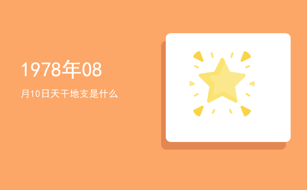 1978年08月10日天干地支是什么