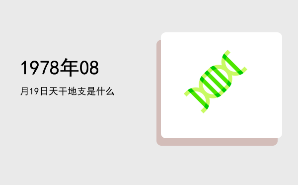1978年08月19日天干地支是什么