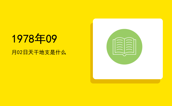 1978年09月02日天干地支是什么