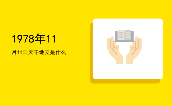 1978年11月11日天干地支是什么