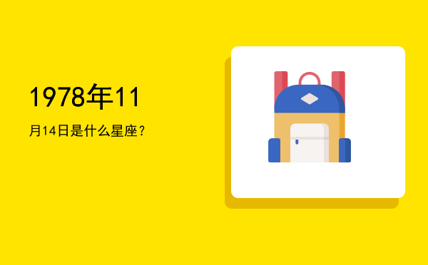 1978年11月14日是什么星座？