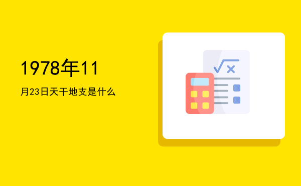 1978年11月23日天干地支是什么
