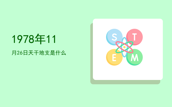 1978年11月26日天干地支是什么