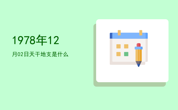 1978年12月02日天干地支是什么