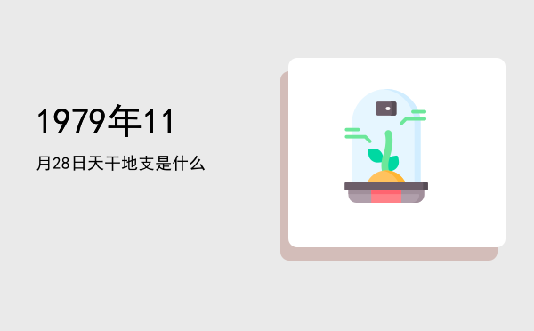 1979年11月28日天干地支是什么