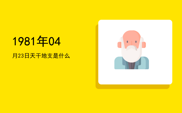 1981年04月23日天干地支是什么