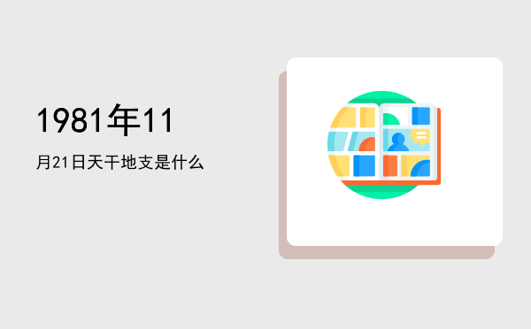 1981年11月21日天干地支是什么