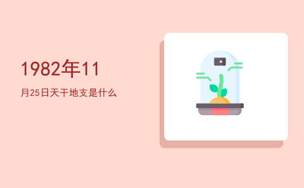 1982年11月25日天干地支是什么
