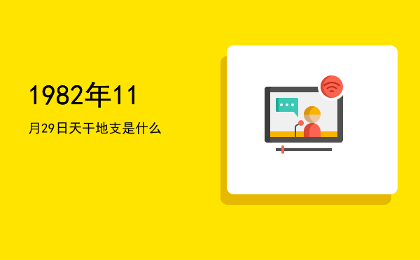 1982年11月29日天干地支是什么
