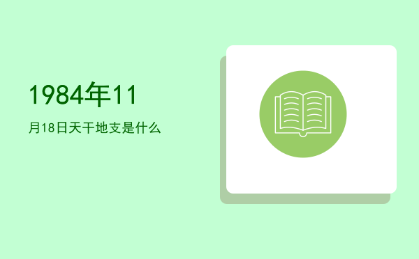 1984年11月18日天干地支是什么