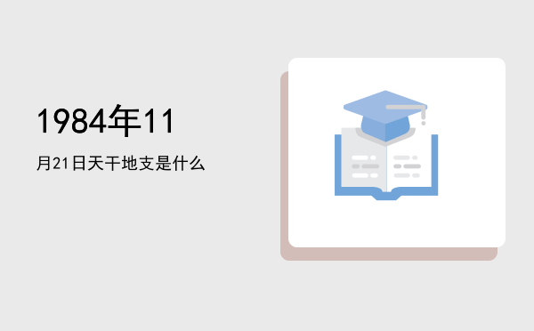 1984年11月21日天干地支是什么