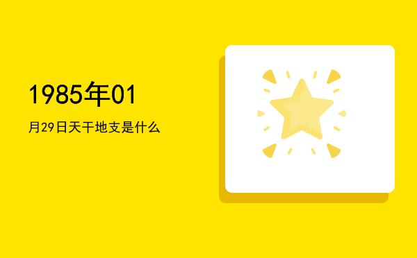 1985年01月29日天干地支是什么