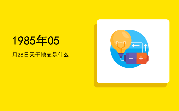 1985年05月28日天干地支是什么