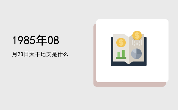 1985年08月23日天干地支是什么