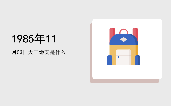 1985年11月03日天干地支是什么