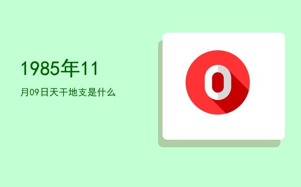1985年11月09日天干地支是什么
