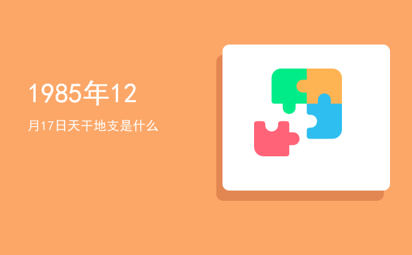 1985年12月17日天干地支是什么