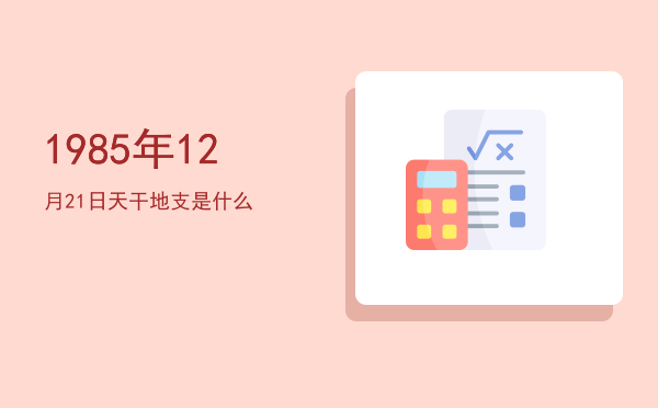 1985年12月21日天干地支是什么