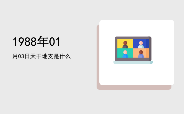 1988年01月03日天干地支是什么