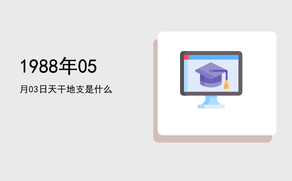 1988年05月03日天干地支是什么