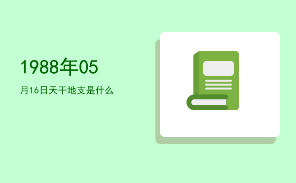 1988年05月16日天干地支是什么
