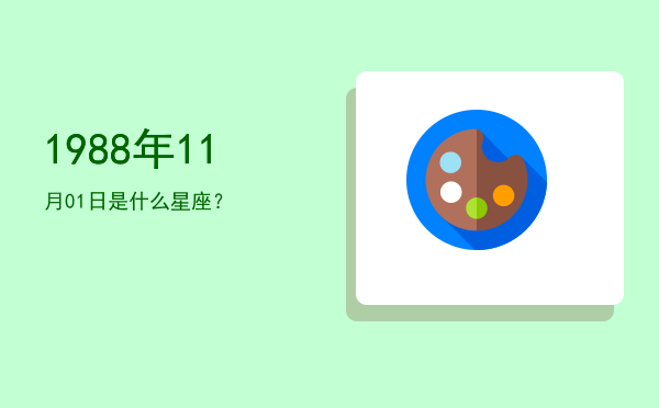 1988年11月01日是什么星座？