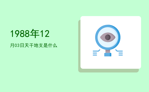 1988年12月03日天干地支是什么