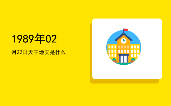 1989年02月22日天干地支是什么