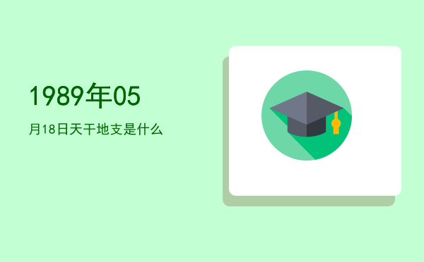 1989年05月18日天干地支是什么