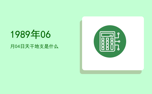 1989年06月04日天干地支是什么