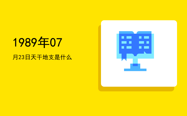 1989年07月23日天干地支是什么